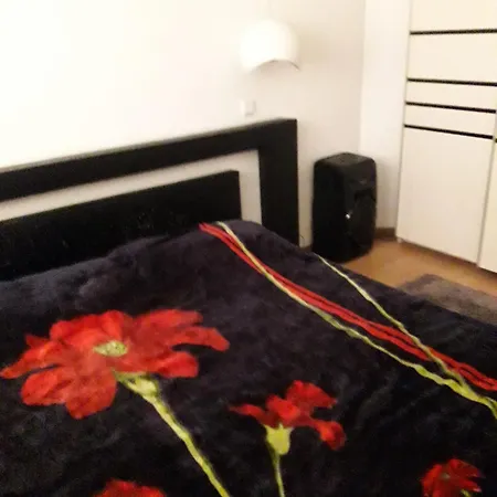 Bella 1 *
